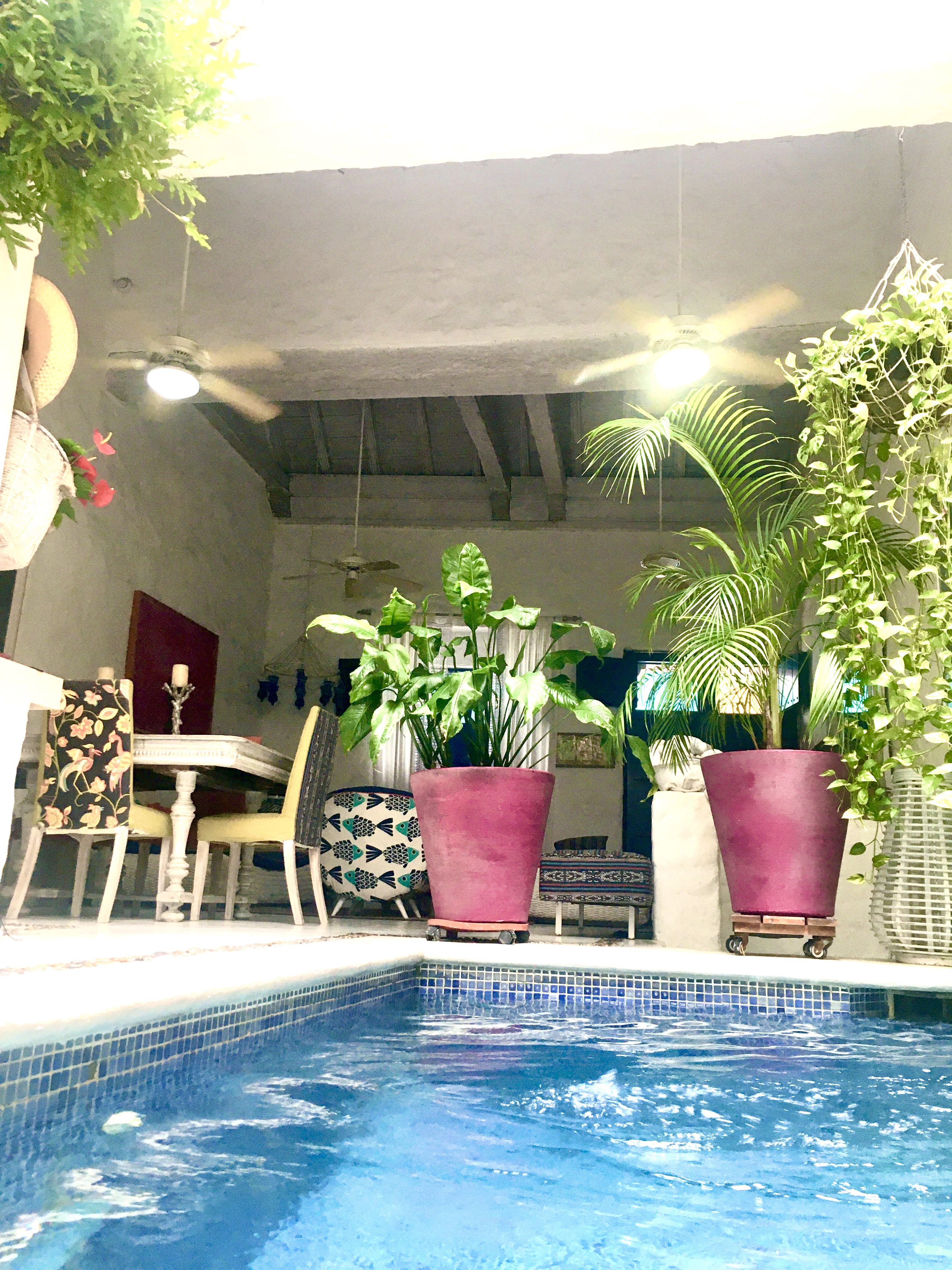 Piscina privada con plantas tropicales y zona social en casa de alquiler vacacional Cartagena de Indias